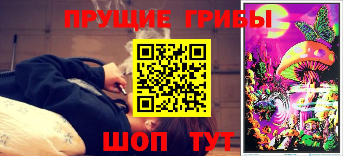 Псилоцибиновые грибы Psilocybe  Псилоцибиновые грибы Psilocybine cubensis  Великие Луки  Вход с VPN 