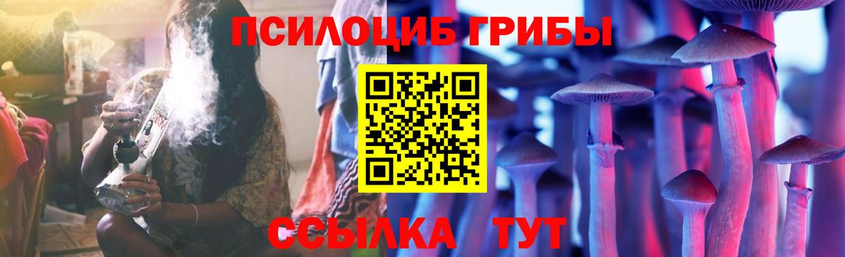 Галлюциногенные грибы GOLDEN TEACHER Великие Луки